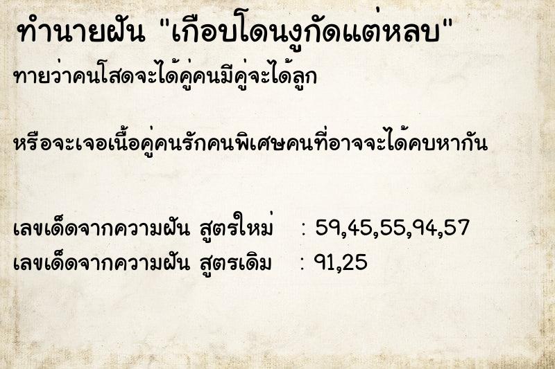 ทำนายฝัน เกือบโดนงูกัดแต่หลบ ทำนายฝัน เกือบโดนงูกัดแต่หลบ