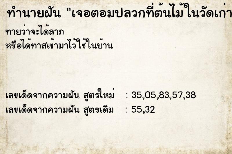 ทำนายฝันทำนายฝันเจอตอมปลวกที่ต้นไม้ในวัดเก่า