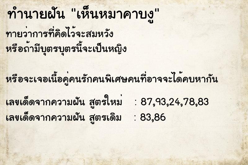 ทำนายฝัน เห็นหมาคาบงู ทำนายฝัน เห็นหมาคาบงู