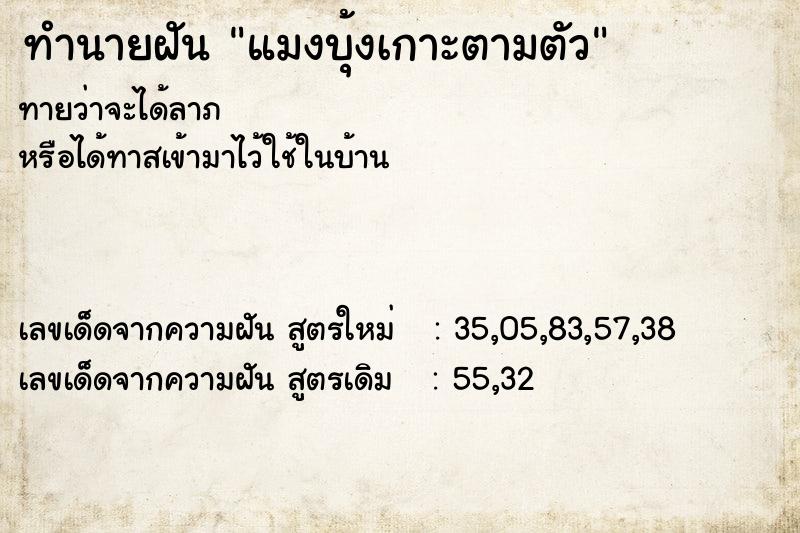 ทำนายฝัน แมงบุ้งเกาะตามตัว ตำราโบราณ แม่นที่สุดในโลก