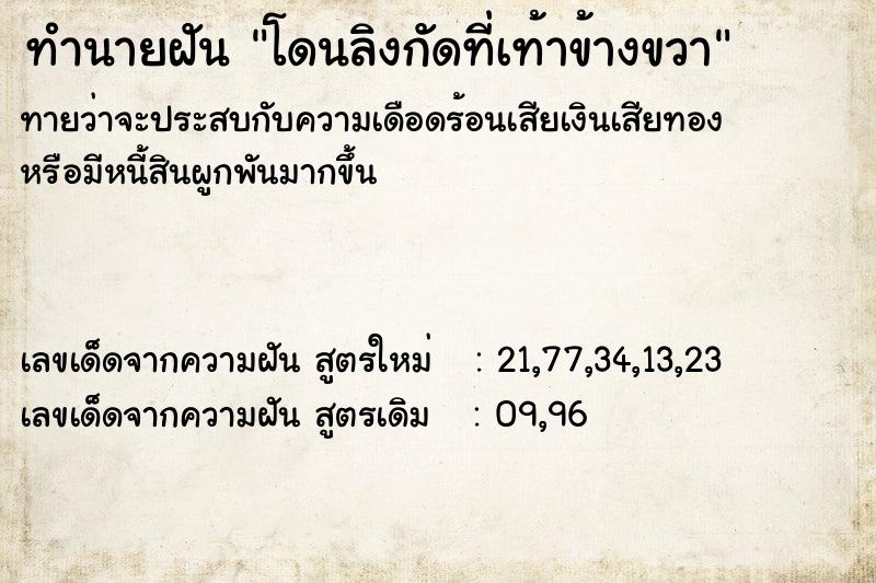 ทำนายฝันทำนายฝันโดนลิงกัดที่เท้าข้างขวา