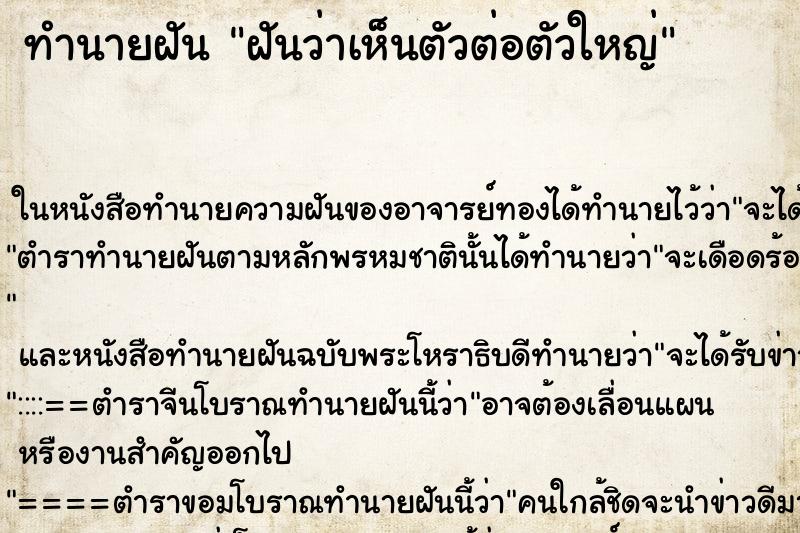 ทำนายฝันฝันว่าเห็นตัวต่อตัวใหญ่ ทำนายฝันทำนายฝันฝันว่าเห็นตัวต่อตัวใหญ่