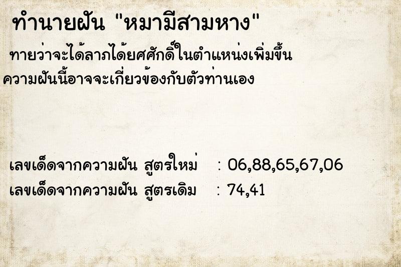 ทำนายฝัน หมามีสามหาง ทำนายฝัน หมามีสามหาง