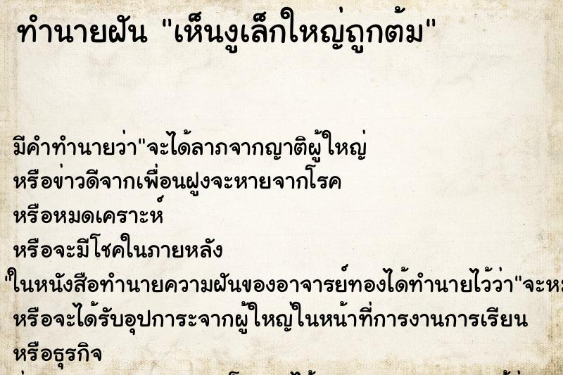 ทำนายฝัน เห็นงูเล็กใหญ่ถูกต้ม