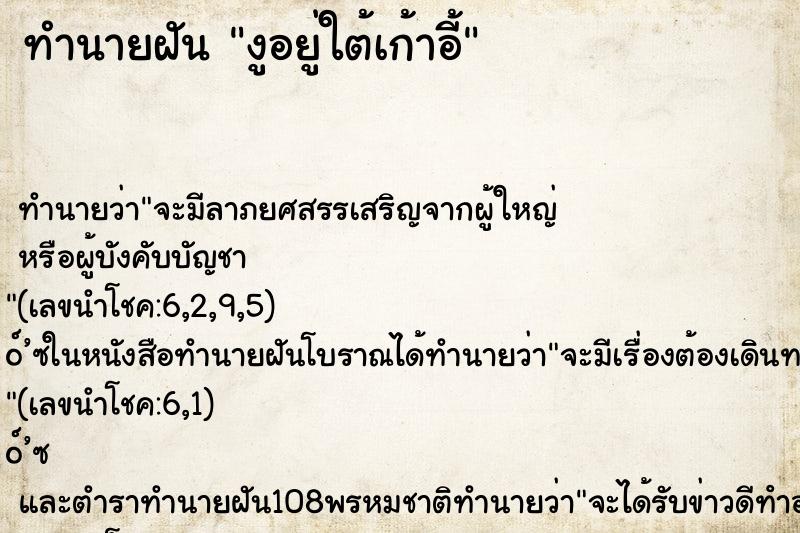 ทำนายฝันงูอยู่ใต้เก้าอี้ ทำนายฝันทำนายฝันงูอยู่ใต้เก้าอี้