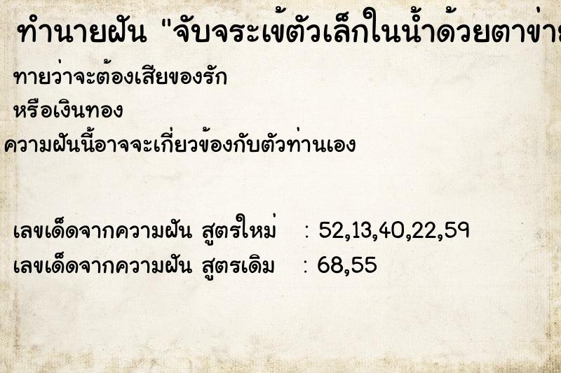 ทำนายฝันทำนายฝันจับจระเข้ตัวเล็กในน้ำด้วยตาข่าย