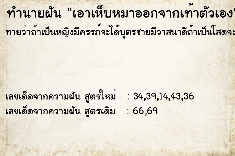 ทำนายฝันเอาเห็บหมาออกจากเท้าตัวเอง ทำนายฝันทำนายฝันเอาเห็บหมาออกจากเท้าตัวเอง