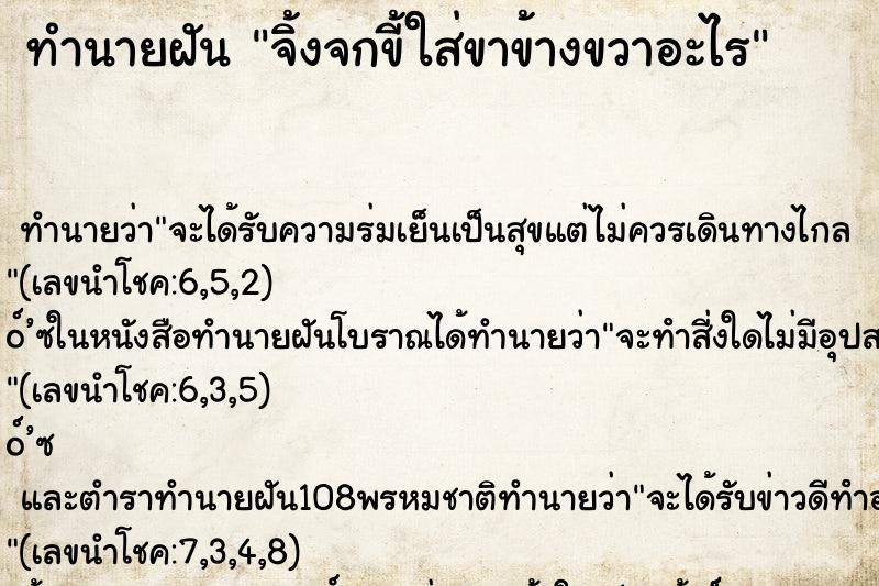 ทำนายฝัน จิ้งจกขี้ใส่ขาข้างขวาอะไร ทำนายฝัน จิ้งจกขี้ใส่ขาข้างขวาอะไร