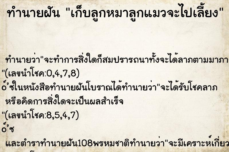 ทำนายฝันทำนายฝันเก็บลูกหมาลูกแมวจะไปเลี้ยง