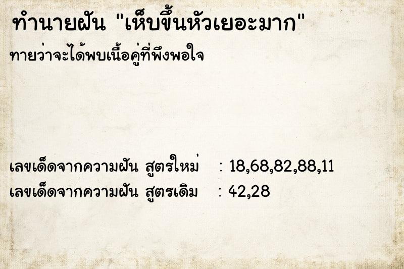 ทำนายฝันทำนายฝันเห็บขึ้นหัวเยอะมาก