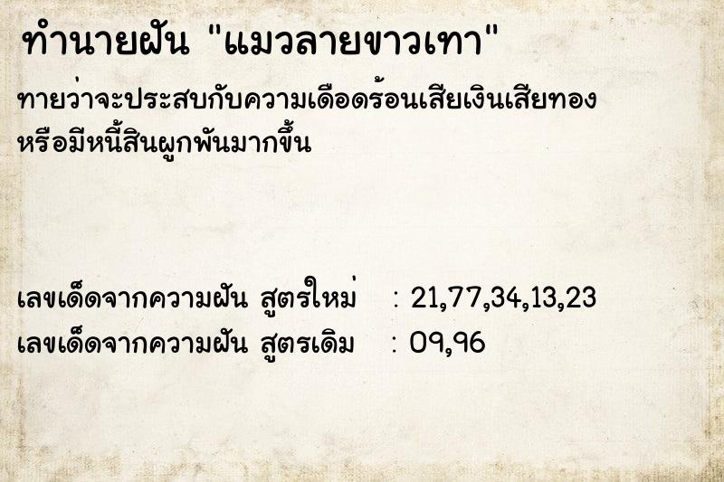 ทำนายฝันทำนายฝันแมวลายขาวเทา