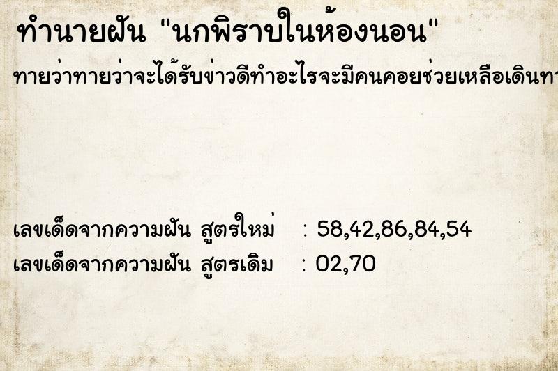 ทำนายฝัน นกพิราบในห้องนอน ทำนายฝัน นกพิราบในห้องนอน