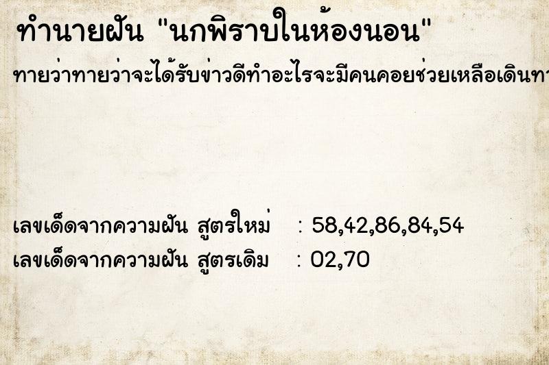 ทำนายฝัน นกพิราบในห้องนอน ตำราโบราณ แม่นที่สุดในโลก