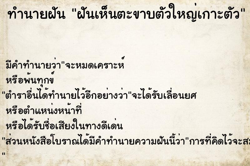 ทำนายฝัน ฝันเห็นตะขาบตัวใหญ่เกาะตัว ทำนายฝัน ฝันเห็นตะขาบตัวใหญ่เกาะตัว
