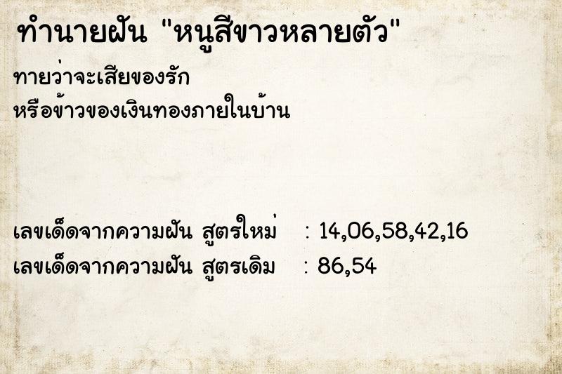 ทำนายฝันทำนายฝันหนูสีขาวหลายตัว