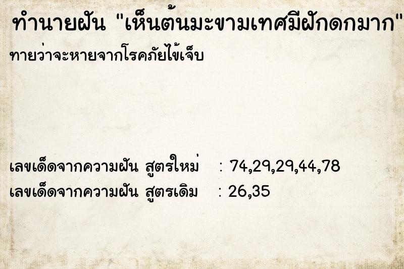 ทำนายฝัน เห็นต้นมะขามเทศมีฝักดกมาก ทำนายฝัน เห็นต้นมะขามเทศมีฝักดกมาก