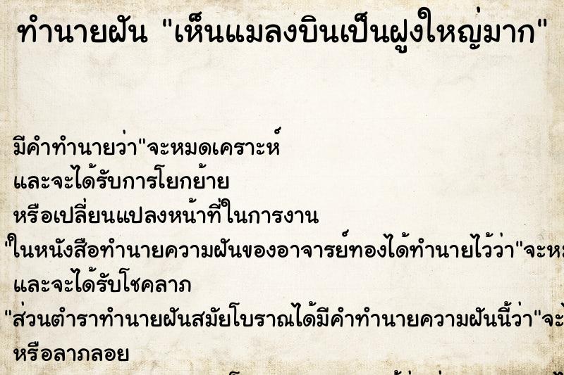 ทำนายฝัน เห็นแมลงบินเป็นฝูงใหญ่มาก ทำนายฝัน เห็นแมลงบินเป็นฝูงใหญ่มาก