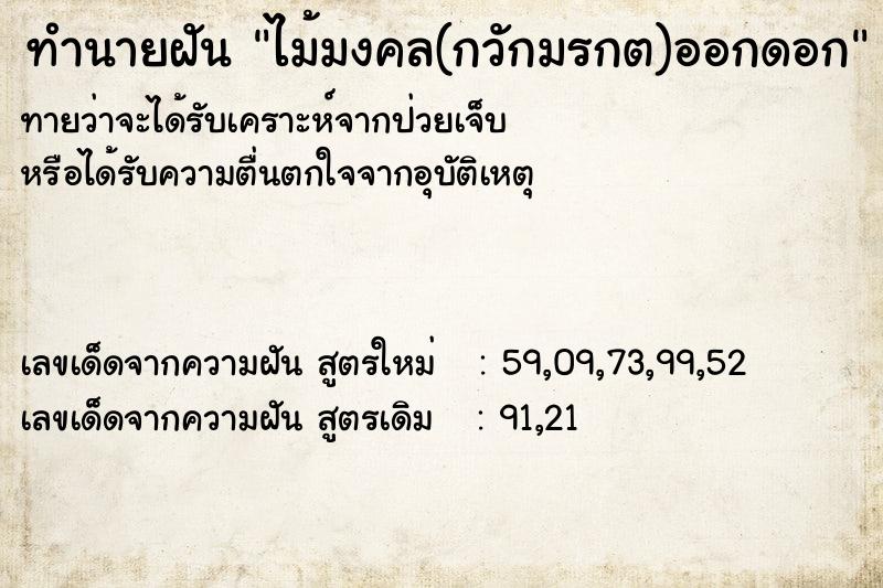 ทำนายฝันทำนายฝันไม้มงคล(กวักมรกต)ออกดอก