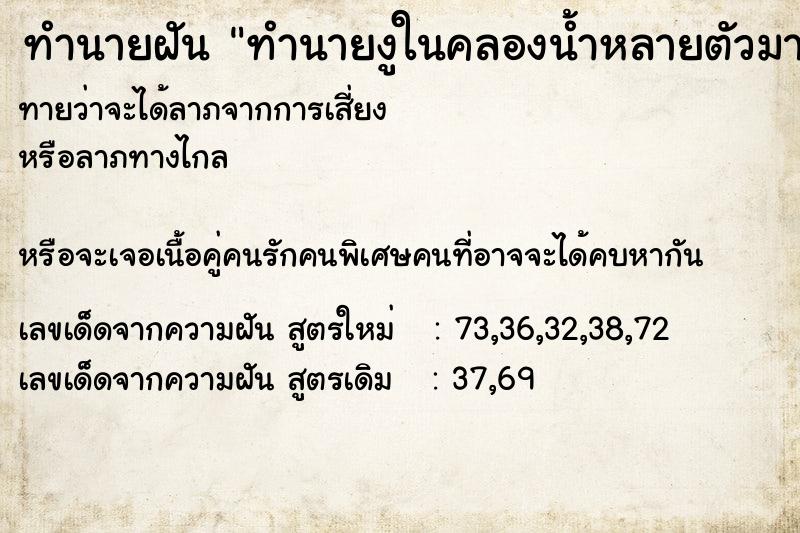 ทำนายฝันทำนายงูในคลองน้ำหลายตัวมาก ทำนายฝันทำนายฝันทำนายงูในคลองน้ำหลายตัวมาก