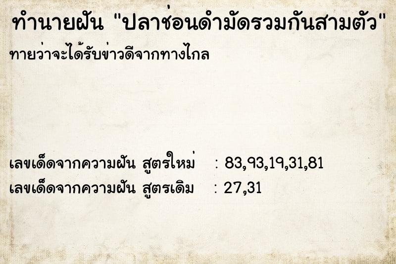 ทำนายฝันทำนายฝันปลาช่อนดำมัดรวมกันสามตัว
