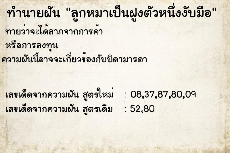 ทำนายฝันลูกหมาเป็นฝูงตัวหนึ่งงับมือ ทำนายฝันทำนายฝันลูกหมาเป็นฝูงตัวหนึ่งงับมือ