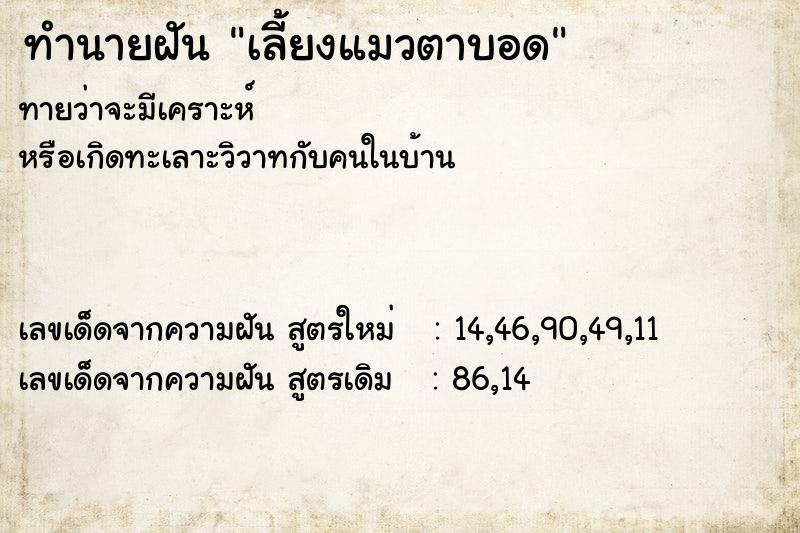 ทำนายฝันทำนายฝันเลี้ยงแมวตาบอด