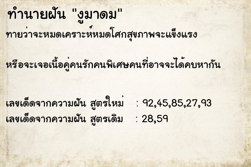ทำนายฝันงูมาดม ทำนายฝันทำนายฝันงูมาดม