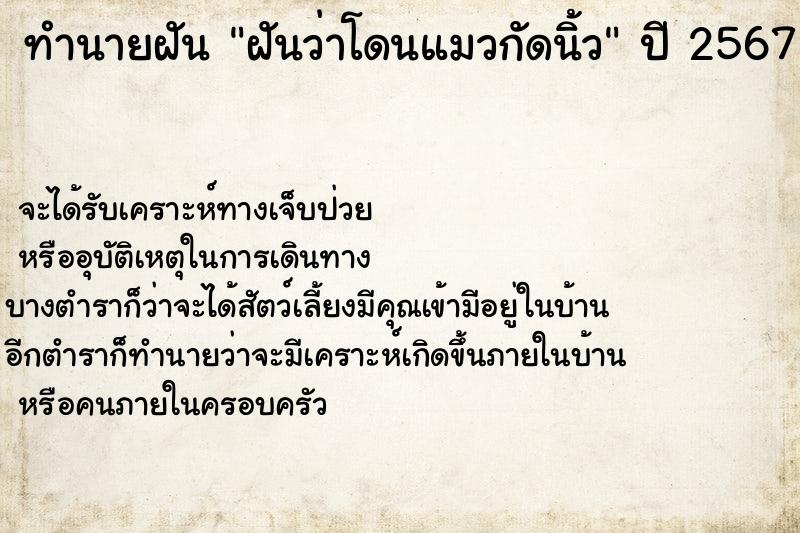ทำนายฝันฝันว่าโดนแมวกัดนิ้ว ทำนายฝันทำนายฝันฝันว่าโดนแมวกัดนิ้ว