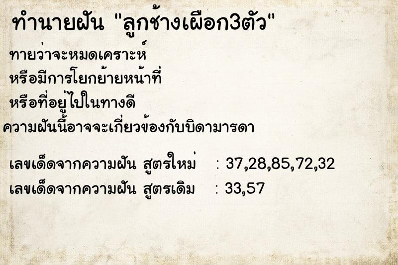 ทำนายฝันทำนายฝันลูกช้างเผือก3ตัว
