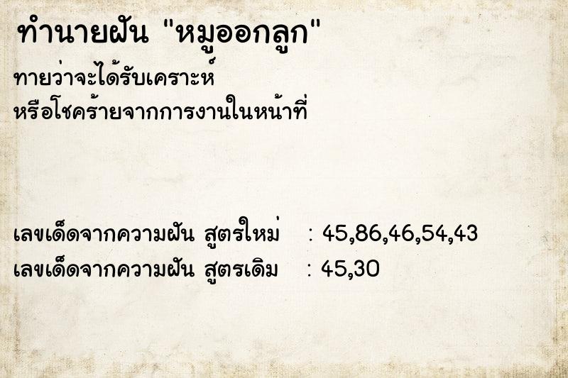 ทำนายฝัน หมูออกลูก ทำนายฝัน หมูออกลูก