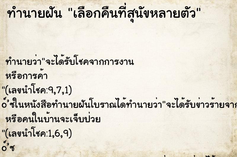 ทำนายฝัน เลือกคืนที่สุนัขหลายตัว