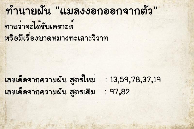 ทำนายฝันทำนายฝันแมลงงอกออกจากตัว