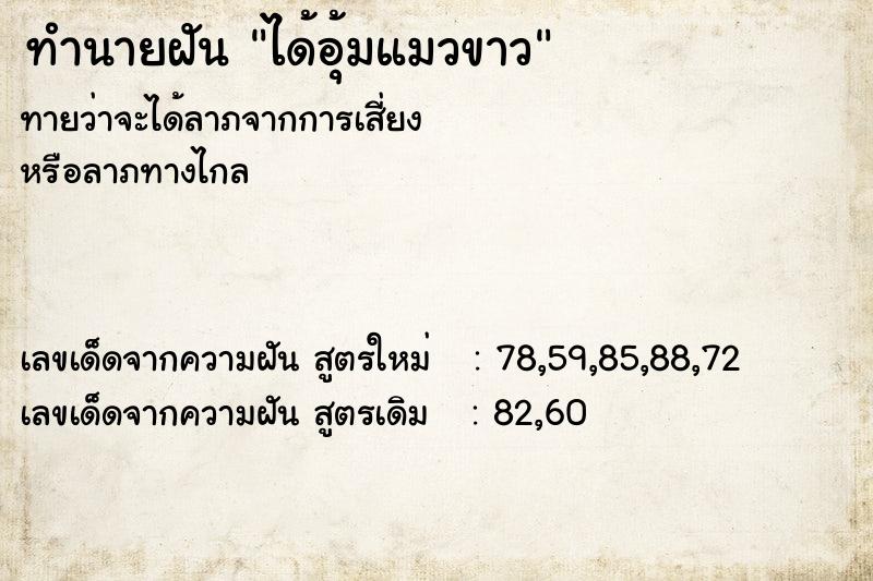 ทำนายฝันทำนายฝันได้อุ้มแมวขาว