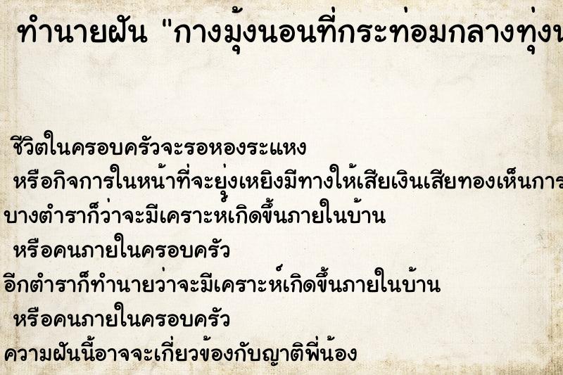 ทำนายฝันกางมุ้งนอนที่กระท่อมกลางทุ่งนากับแฟน ทำนายฝันทำนายฝันกางมุ้งนอนที่กระท่อมกลางทุ่งนากับแฟน