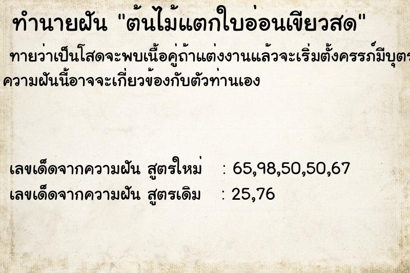 ทำนายฝันทำนายฝันต้นไม้แตกใบอ่อนเขียวสด