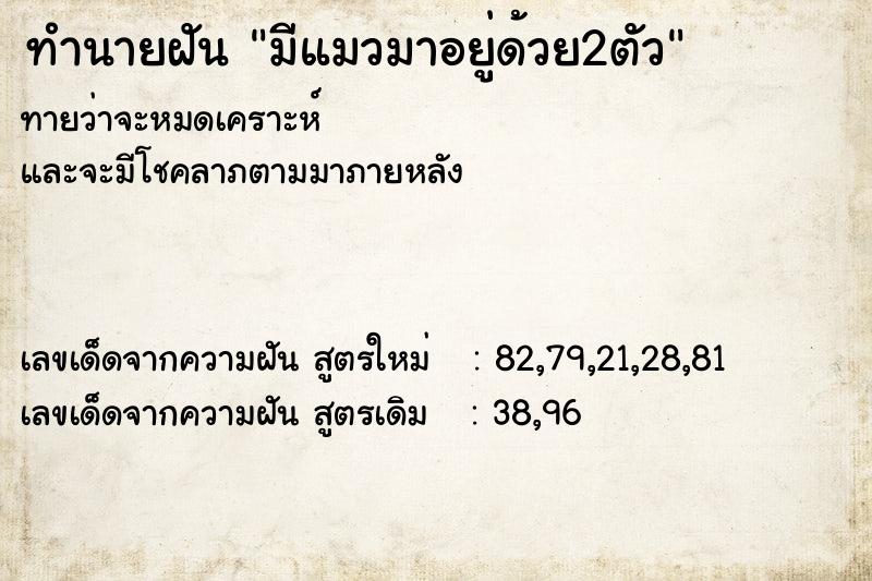 ทำนายฝันมีแมวมาอยู่ด้วย2ตัว ทำนายฝันทำนายฝันมีแมวมาอยู่ด้วย2ตัว