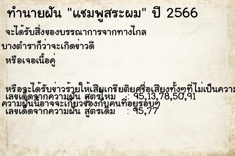 ทำนายฝันทำนายฝันแชมพูสระผม