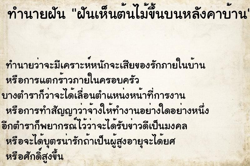 ทำนายฝัน ฝันเห็นต้นไม้ขึ้นบนหลังคาบ้าน ทำนายฝัน ฝันเห็นต้นไม้ขึ้นบนหลังคาบ้าน
