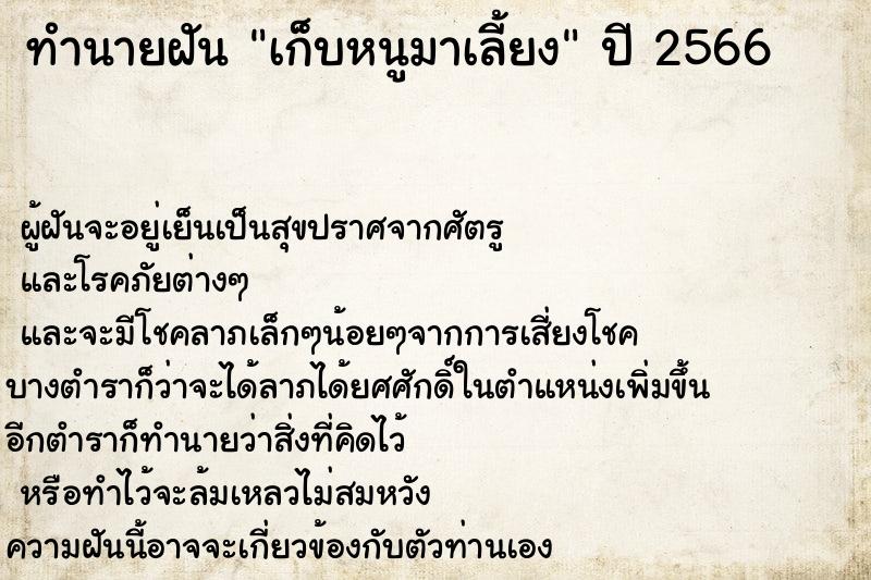 ทำนายฝันทำนายฝันเก็บหนูมาเลี้ยง