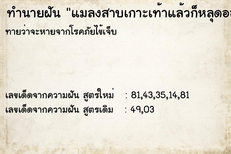 ทำนายฝัน แมลงสาบเกาะเท้าแล้วก็หลุดออก ทำนายฝัน แมลงสาบเกาะเท้าแล้วก็หลุดออก
