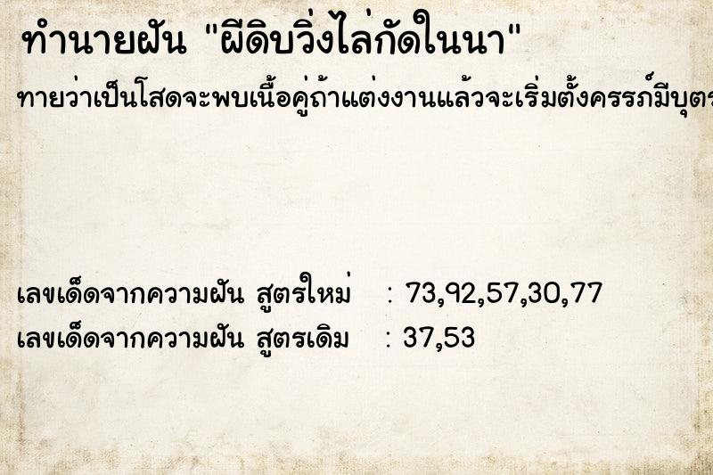 ทำนายฝันทำนายฝันผีดิบวิ่งไล่กัดในนา