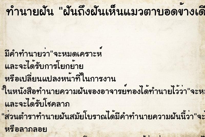 ทำนายฝันทำนายฝันฝันถึงฝันเห็นแมวตาบอดข้างเดียว