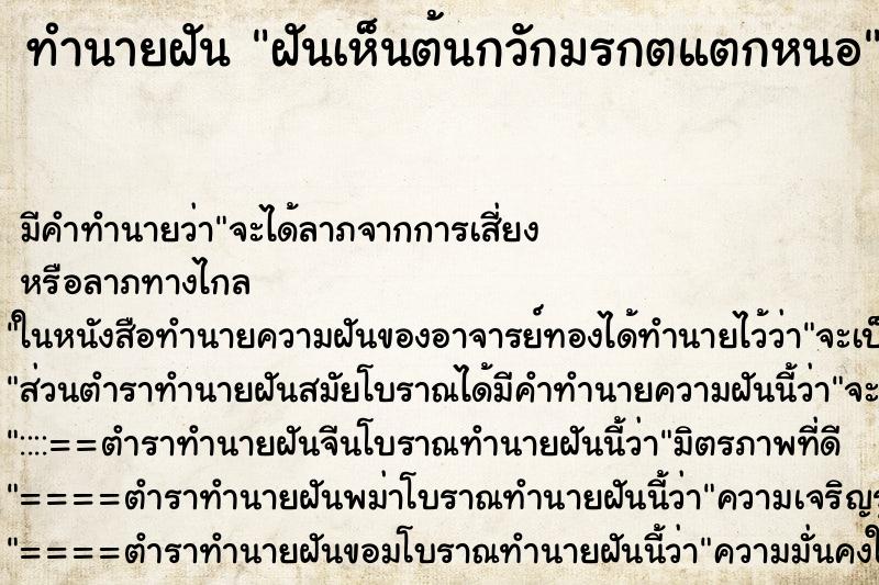 ทำนายฝัน ฝันเห็นต้นกวักมรกตแตกหนอ