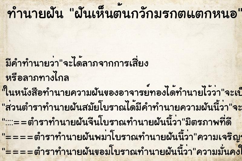 ทำนายฝัน ฝันเห็นต้นกวักมรกตแตกหนอ ตำราโบราณ แม่นที่สุดในโลก