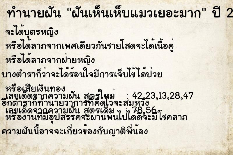 ทำนายฝันทำนายฝันฝันเห็นเห็บแมวเยอะมาก