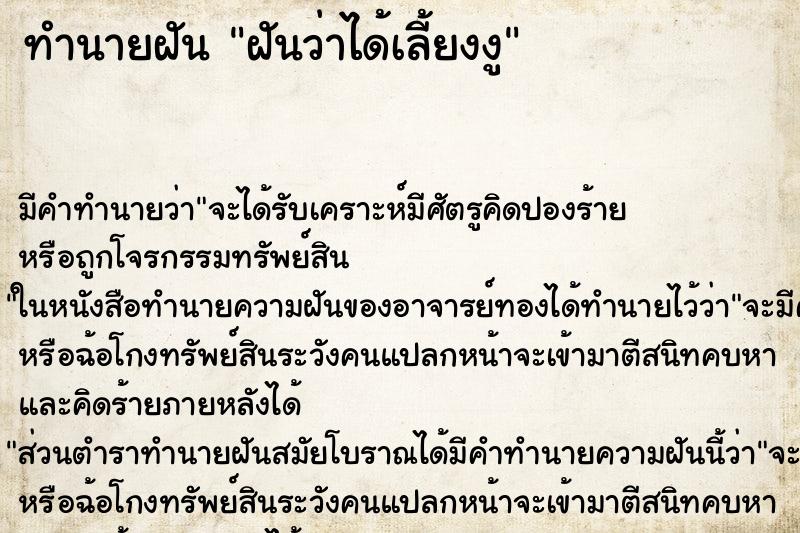 ทำนายฝันฝันว่าได้เลี้ยงงู ทำนายฝันทำนายฝันฝันว่าได้เลี้ยงงู