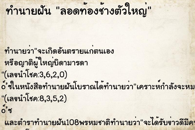 ทำนายฝันลอดท้องช้างตัวใหญ่ ทำนายฝันทำนายฝันลอดท้องช้างตัวใหญ่