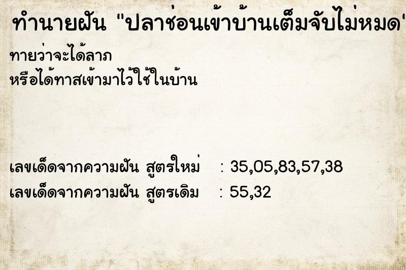 ทำนายฝันทำนายฝันปลาช่อนเข้าบ้านเต็มจับไม่หมด