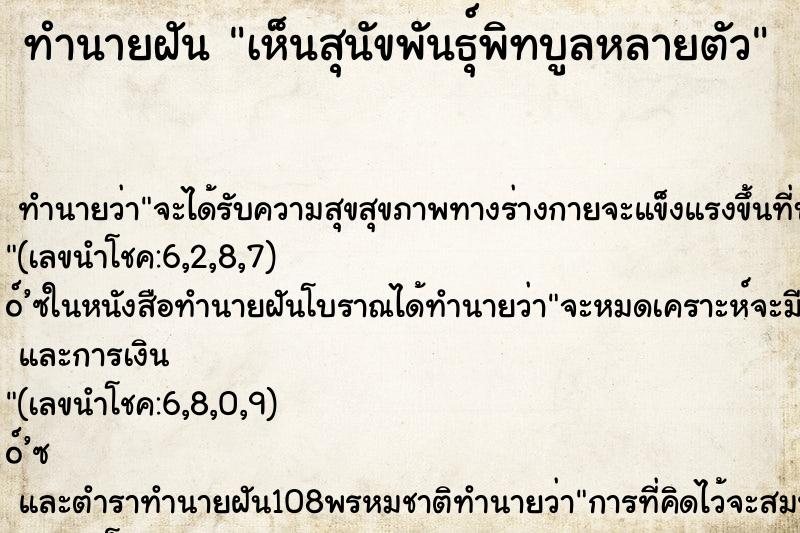 ทำนายฝันทำนายฝันเห็นสุนัขพันธุ์พิทบูลหลายตัว