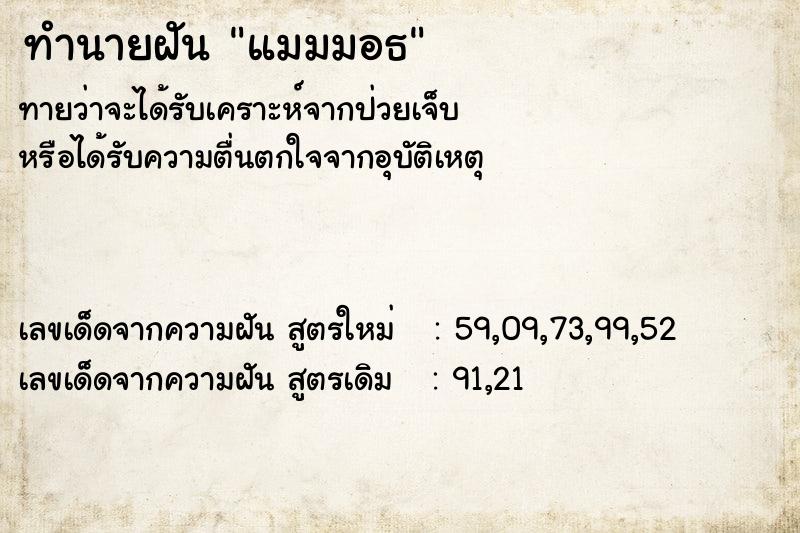 ทำนายฝัน แมมมอธ ทำนายฝัน แมมมอธ
